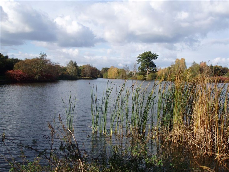 Lake at Moors Valley <span style='font-size:8px;'> Moors Valley Country Park and Forest </span>
