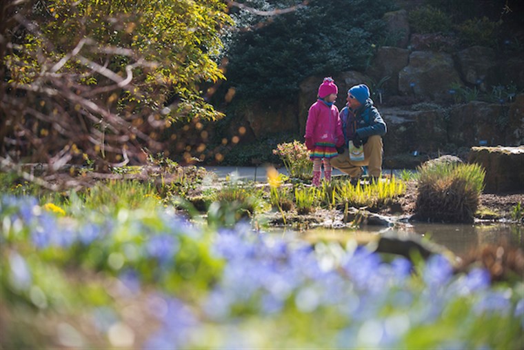 Visitors in the Rock Gully in Spring at RHS Garden Rosemoor. ® RHS