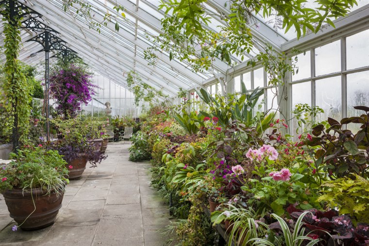 Inside the Greenhouse at Wallington, Northumberland  <span style='font-size:8px;'>®National Trust Images/Andrew Butler</span>