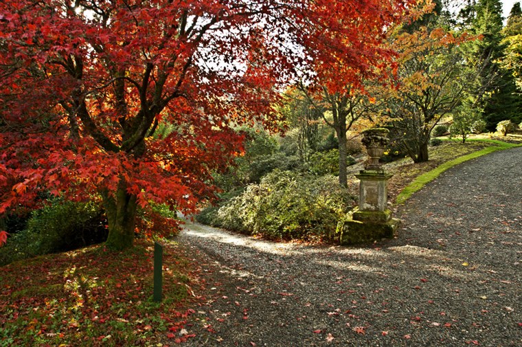 Autumnal Colours Images Courtesy of Royal Botanic Garden Edinburgh 