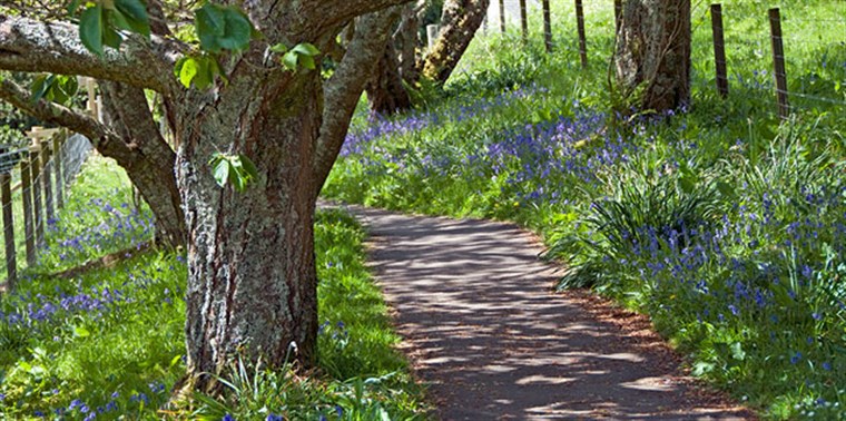 Arduaine Gardens <span style='font-size:8px;'> ® The National Trust for Scotland </span>