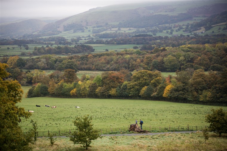 Visitors walking in parkland at Penrhyn Castle, North Wales <span style='font-size:8px;'>®National Trust Images/Rob Stothard</span>