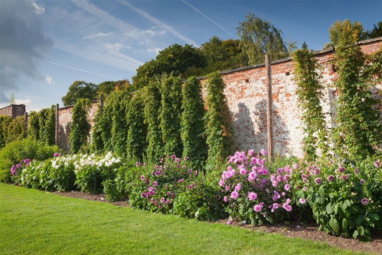 The Walled Garden in September <span style='font-size:8px;'> credit Harewood House Trust and Lee Beal </span>