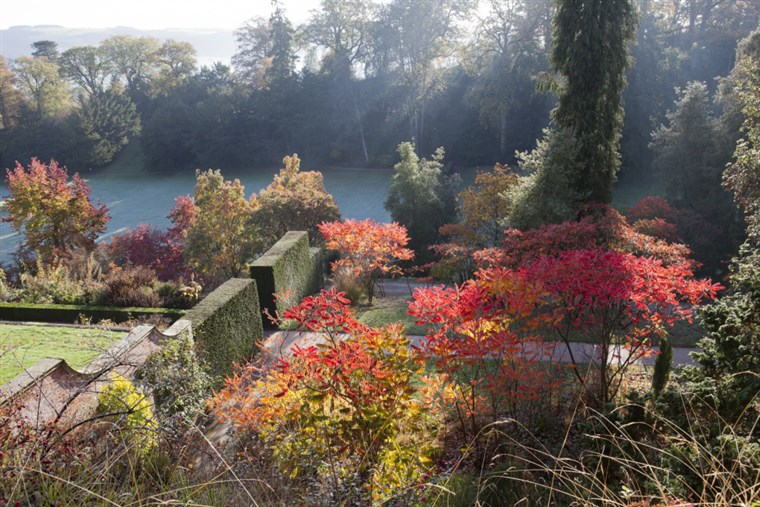 Autumn in the garden at Powis Castle, Welshpool, Powys. ®National Trust Images/Mark Bolton