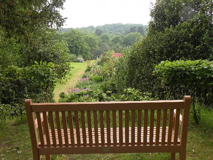 View over herbaceous border