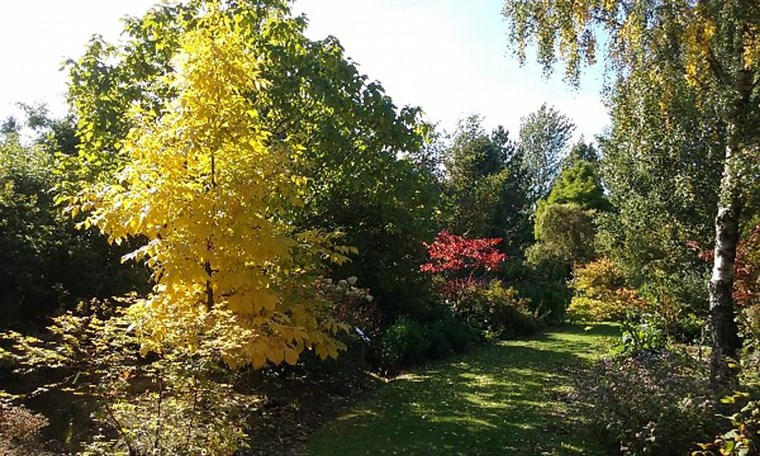 Autumn colour in gardens