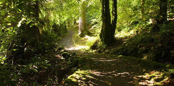 The woodland estate of Balmacara <span style='font-size:8px;'> ® Brian Chapple / The National Trust for Scotland </span>