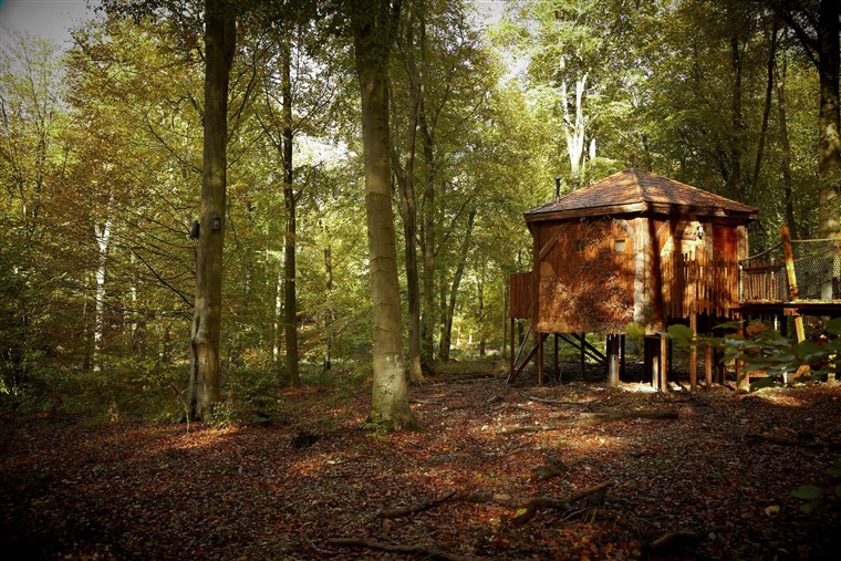 Treehouse Breaks at Forest Holidays, Sherwood Forest
