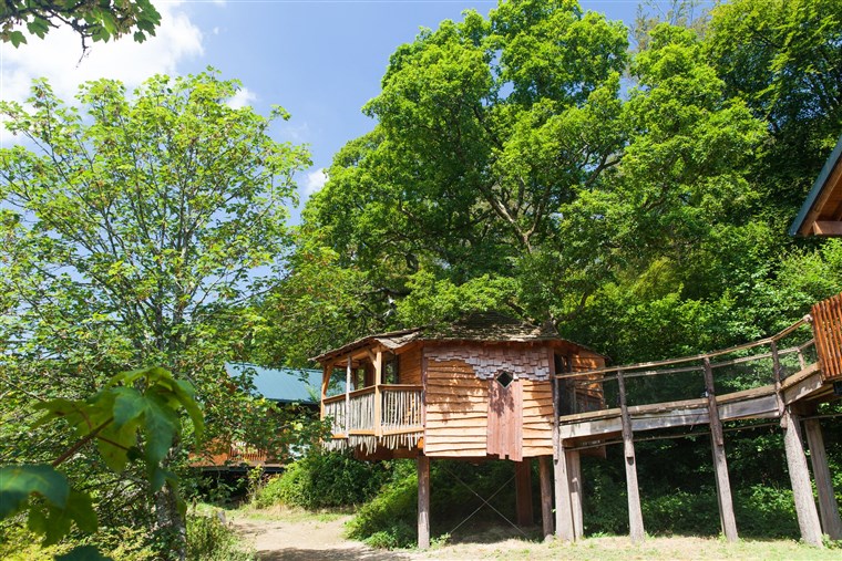 Treehouse Breaks at Forest Holidays, Thorpe Forest