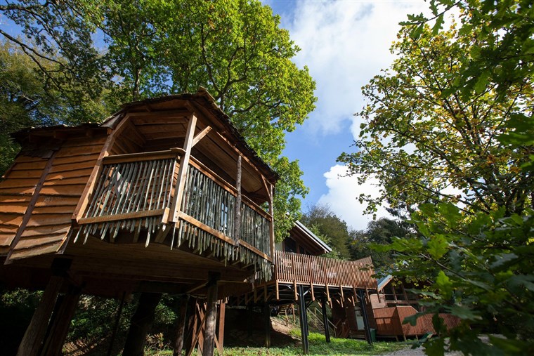 Treehouse Breaks at Forest Holidays, Deerpark