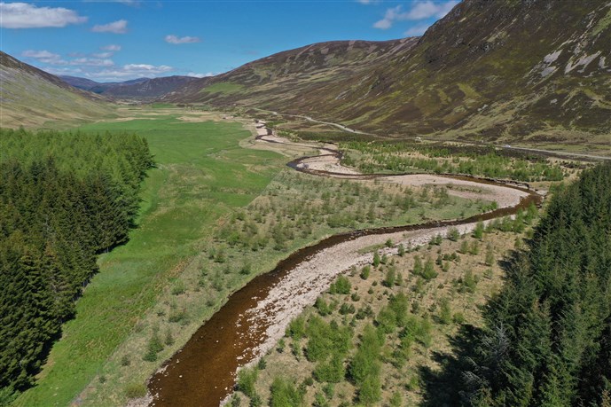 Save the Spring – photo of tributary in the upper catchment