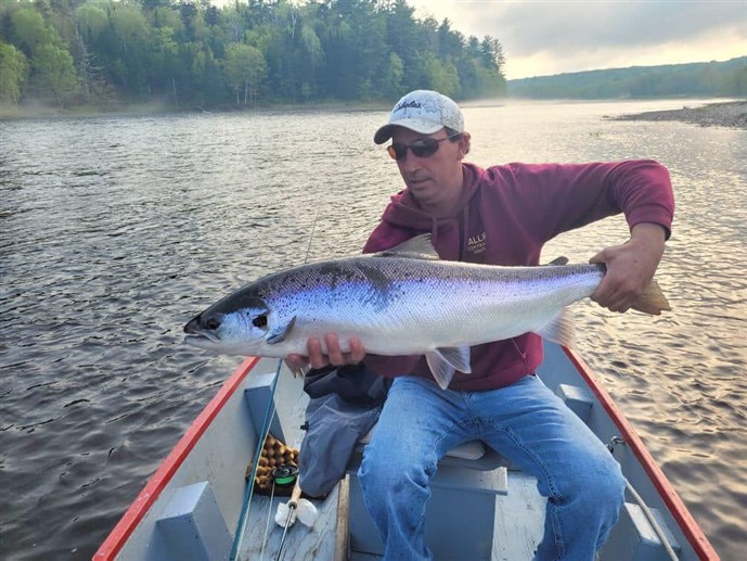 Great early run hen salmon caught on 5/22 May 22 in Blissfield and Miramichi wizard Colin Gilks