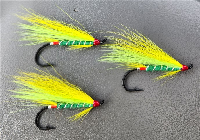  Renous Special Spring Salmon Fly