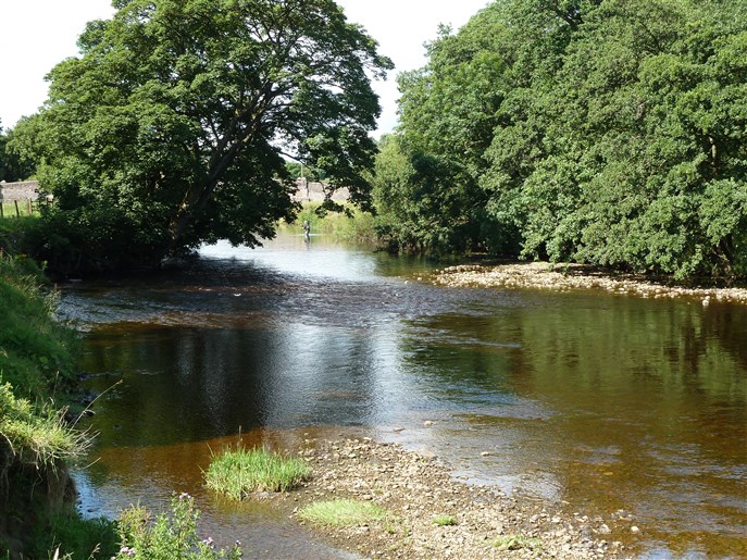 Upstream of Musgrave Bridge