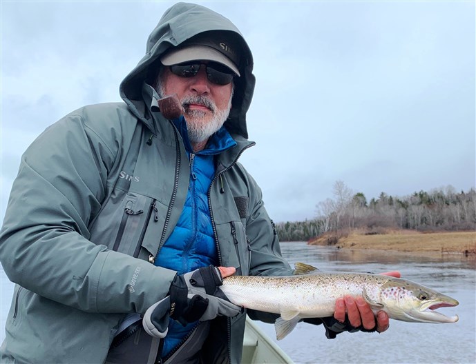 This grilse photo by Upper Oxbow Adventures shows a healthy looking male, grilse kelt on its way back to sea.  Upper Oxbow Adventures photo